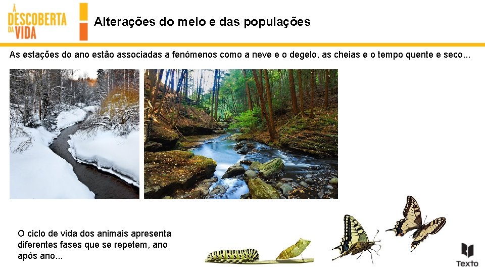 Alterações do meio e das populações As estações do ano estão associadas a fenómenos