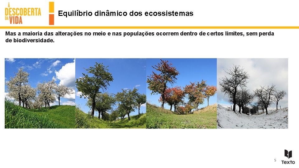 Equilíbrio dinâmico dos ecossistemas Mas a maioria das alterações no meio e nas populações