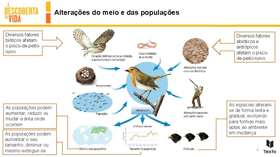 Alterações do meio e das populações Diversos fatores bióticos afetam o pisco-de-peitoruivo As populações