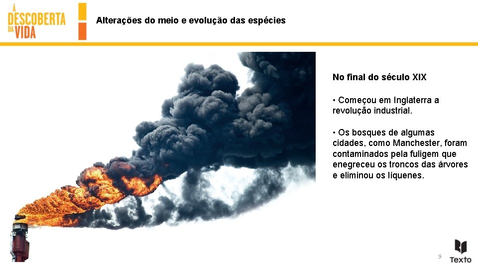 Alterações do meio e evolução das espécies No final do século XIX • Começou