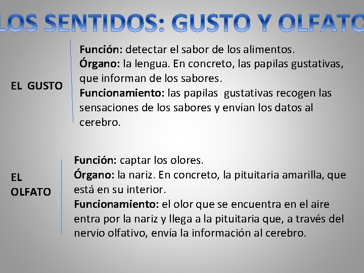 EL GUSTO EL OLFATO Función: detectar el sabor de los alimentos. Órgano: la lengua.