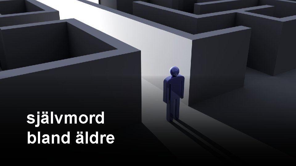 självmord bland äldre självmord bland äldre