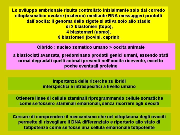 Lo sviluppo embrionale risulta controllato inizialmente solo dal corredo citoplasmatico ovulare (materno) mediante RNA