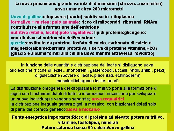 Le uova presentano grande varietà di dimensioni (struzzo…mammiferi) uova umane circa 200 micrometri Uovo