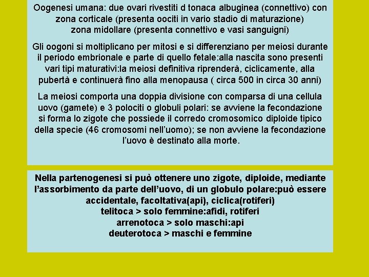 Oogenesi umana: due ovari rivestiti d tonaca albuginea (connettivo) con zona corticale (presenta oociti