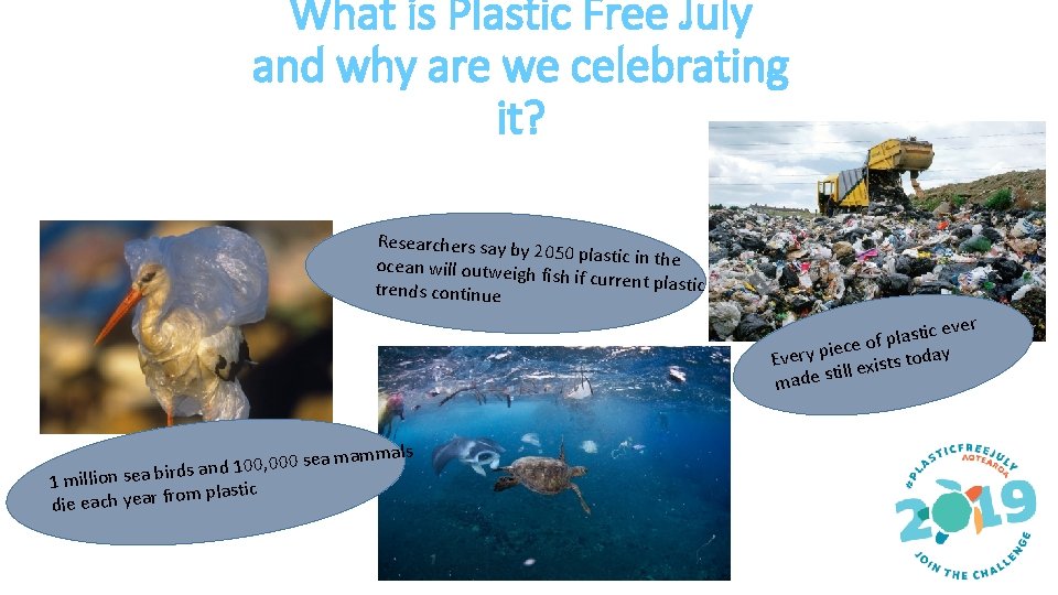 What is Plastic Free July and why are we celebrating it? Researchers say by