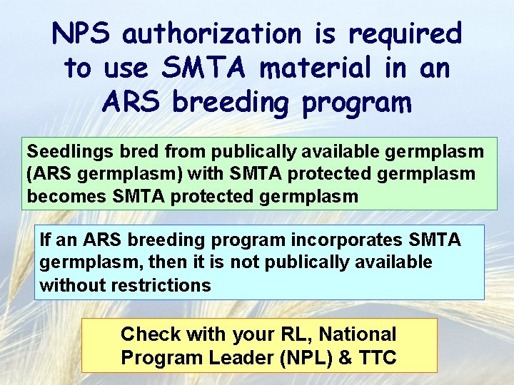 NPS authorization is required to use SMTA material in an ARS breeding program Seedlings