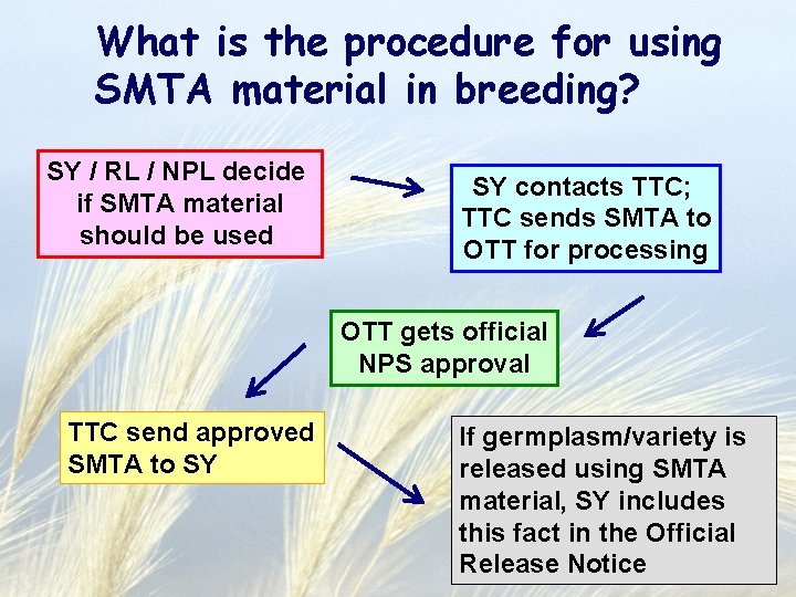 What is the procedure for using SMTA material in breeding? SY / RL /