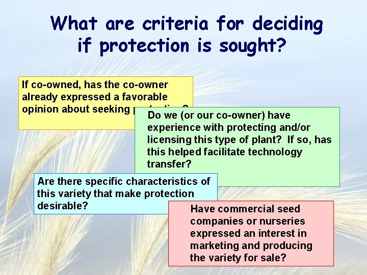 What are criteria for deciding if protection is sought? If co-owned, has the co-owner