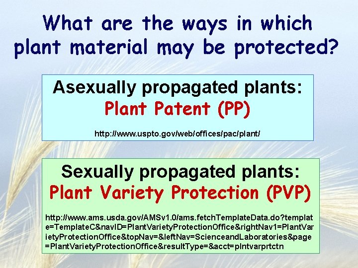 What are the ways in which plant material may be protected? Asexually propagated plants: