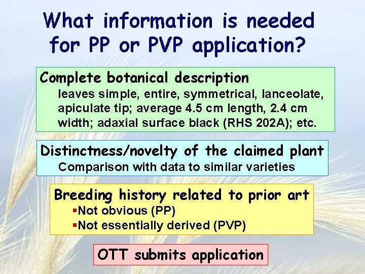 What information is needed for PP or PVP application? Complete botanical description leaves simple,