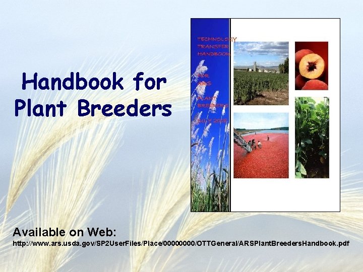 Handbook for Plant Breeders Available on Web: http: //www. ars. usda. gov/SP 2 User.