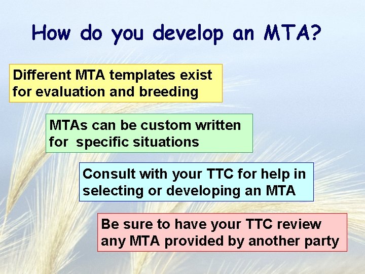 How do you develop an MTA? Different MTA templates exist for evaluation and breeding