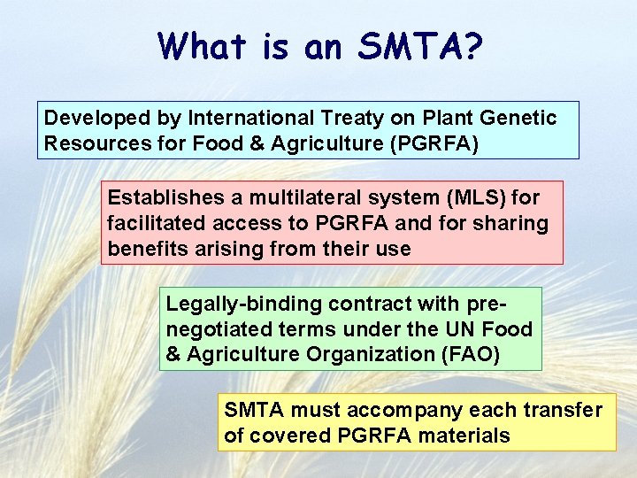 What is an SMTA? Developed by International Treaty on Plant Genetic Resources for Food