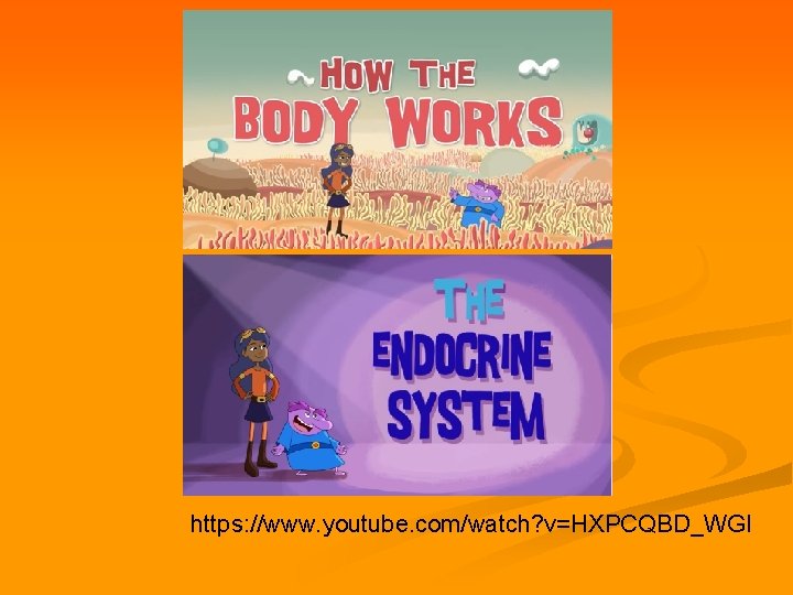 https: //www. youtube. com/watch? v=HXPCQBD_WGI 