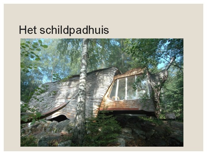 Het schildpadhuis 