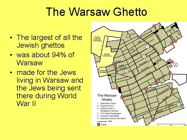 The Warsaw Ghetto • The largest of all the Jewish ghettos • was about