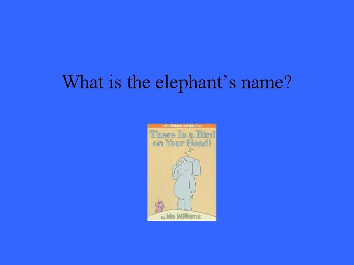 What is the elephant’s name? 