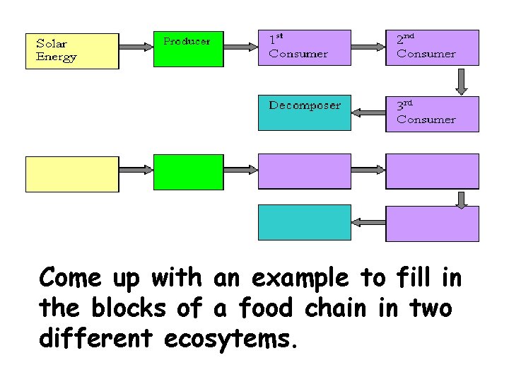 Come up with an example to fill in the blocks of a food chain