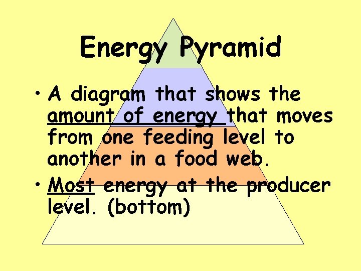 Energy Pyramid • A diagram that shows the amount of energy that moves from