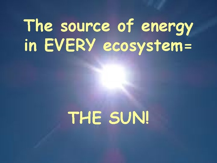 The source of energy in EVERY ecosystem= THE SUN! 