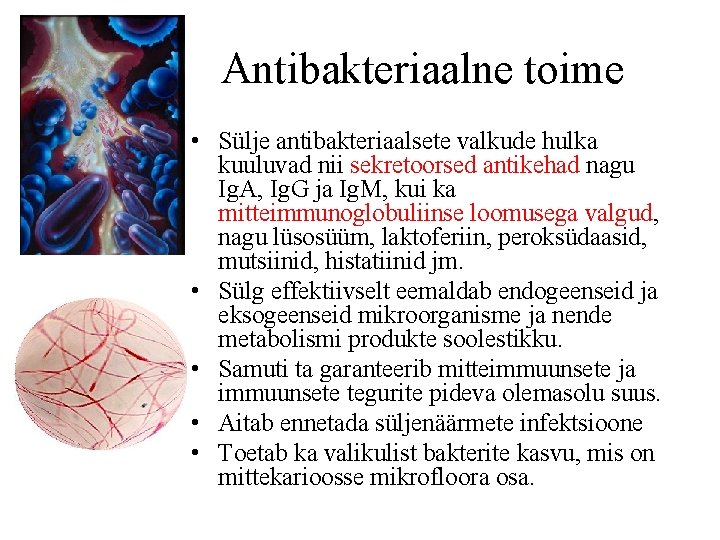 Antibakteriaalne toime • Sülje antibakteriaalsete valkude hulka kuuluvad nii sekretoorsed antikehad nagu Ig. A,