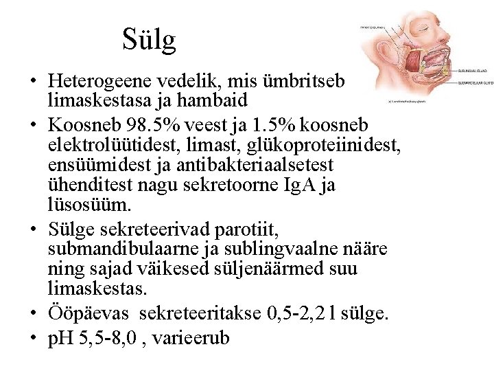 Sülg • Heterogeene vedelik, mis ümbritseb limaskestasa ja hambaid • Koosneb 98. 5% veest