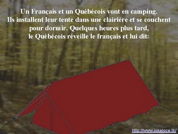 Un Français et un Québécois vont en camping. Ils installent leur tente dans une Un Français et un Québécois vont en camping. Ils installent leur tente dans une
