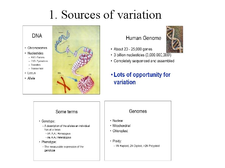 1. Sources of variation 
