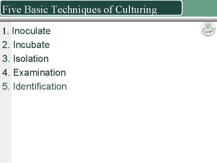 Five Basic Techniques of Culturing 1. Inoculate 2. Incubate 3. Isolation 4. Examination 5.