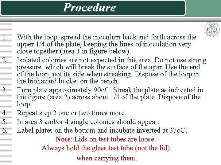 Procedure 1. 2. 3. 4. 5. 6. With the loop, spread the inoculum back