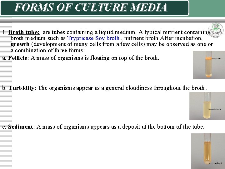 FORMS OF CULTURE MEDIA 1. Broth tube: are tubes containing a liquid medium. A