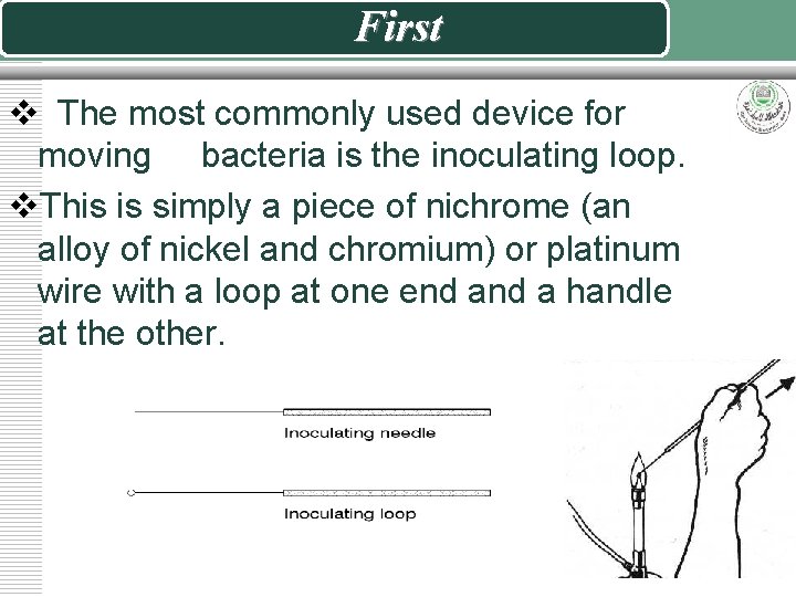 First v The most commonly used device for moving bacteria is the inoculating loop.