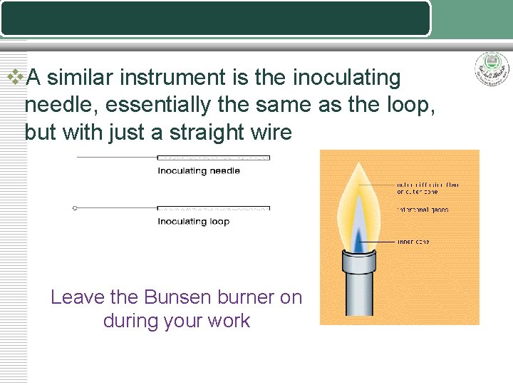 v. A similar instrument is the inoculating needle, essentially the same as the loop,