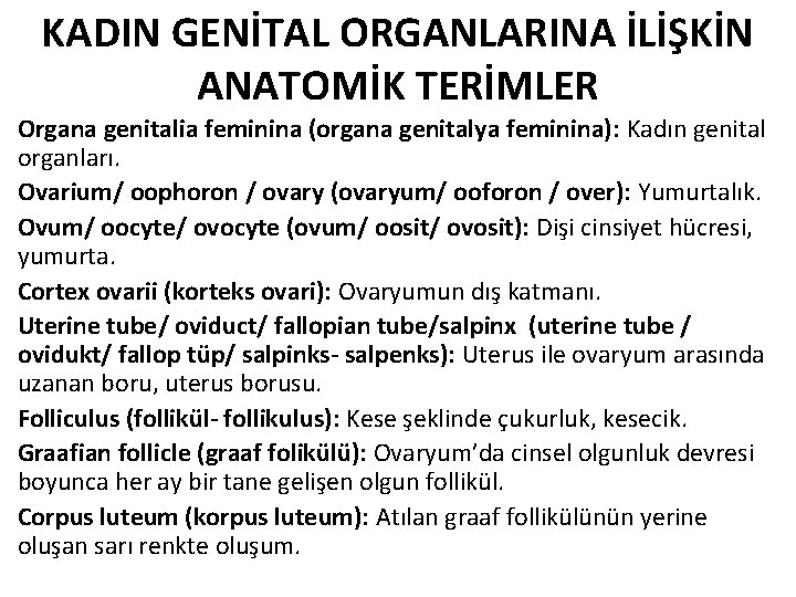 KADIN GENİTAL ORGANLARINA İLİŞKİN ANATOMİK TERİMLER Organa genitalia feminina (organa genitalya feminina): Kadın genital