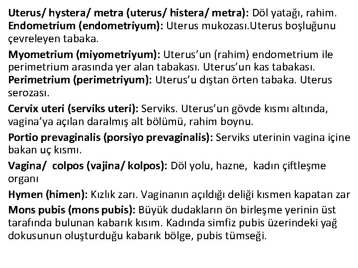 Uterus/ hystera/ metra (uterus/ histera/ metra): Döl yatağı, rahim. Endometrium (endometriyum): Uterus mukozası. Uterus