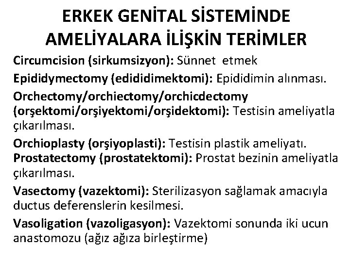 ERKEK GENİTAL SİSTEMİNDE AMELİYALARA İLİŞKİN TERİMLER Circumcision (sirkumsizyon): Sünnet etmek Epididymectomy (edididimektomi): Epididimin alınması.