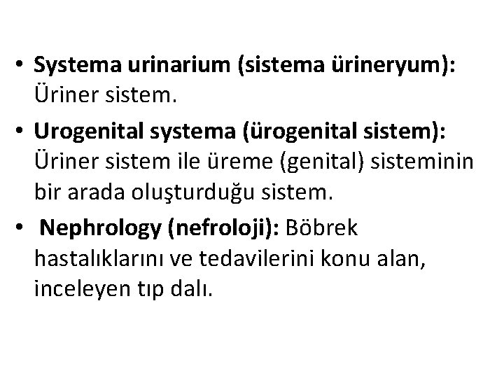  • Systema urinarium (sistema ürineryum): Üriner sistem. • Urogenital systema (ürogenital sistem): Üriner