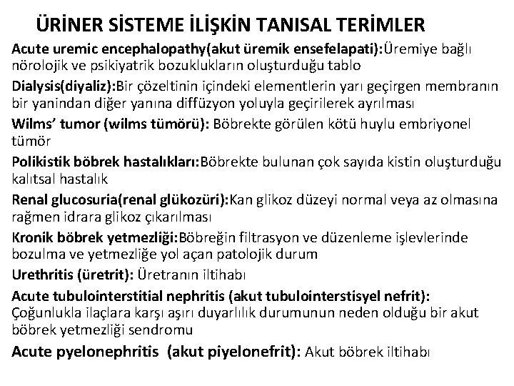 ÜRİNER SİSTEME İLİŞKİN TANISAL TERİMLER Acute uremic encephalopathy(akut üremik ensefelapati): Üremiye bağlı nörolojik ve