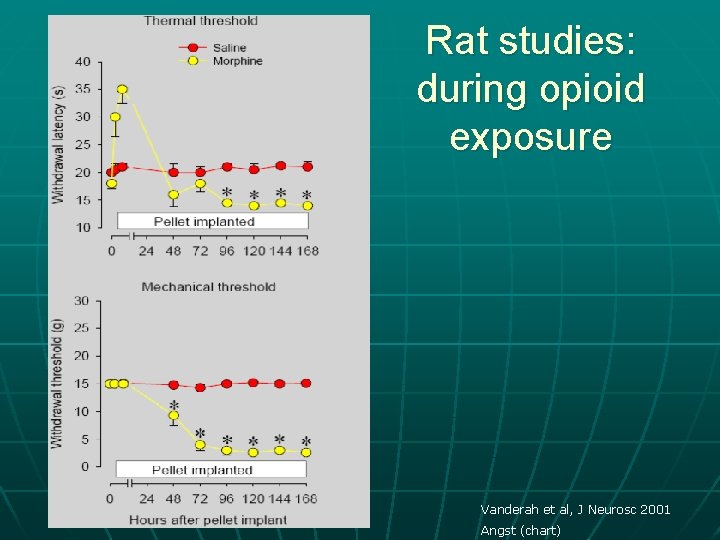 Rat studies: during opioid exposure Vanderah et al, J Neurosc 2001 Angst (chart) 