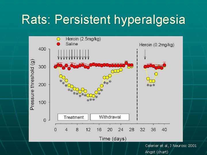 Rats: Persistent hyperalgesia Celerier et al, J Neurosc 2001 Angst (chart) 