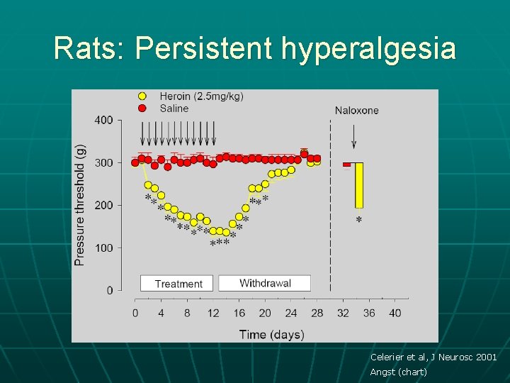 Rats: Persistent hyperalgesia Celerier et al, J Neurosc 2001 Angst (chart) 