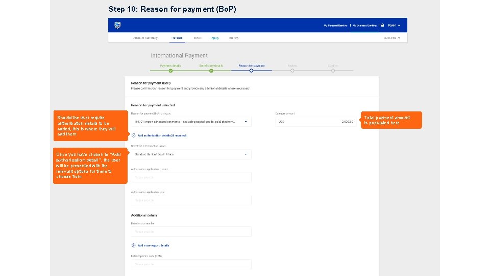 Step 10: Reason for payment (Bo. P) Should the user require authorisation details to