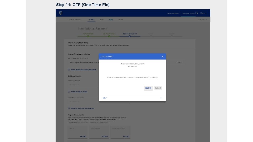 Step 11: OTP (One Time Pin) 