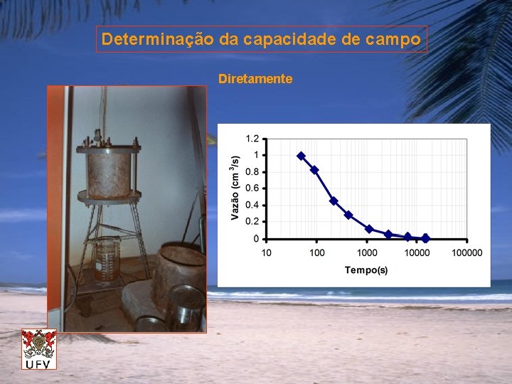 Determinação da capacidade de campo Diretamente 