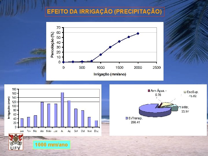 EFEITO DA IRRIGAÇÃO (PRECIPITAÇÃO) 1000 mm/ano 