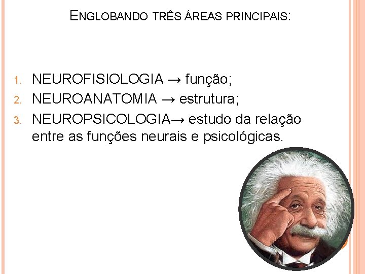 ENGLOBANDO TRÊS ÁREAS PRINCIPAIS: 1. 2. 3. NEUROFISIOLOGIA → função; NEUROANATOMIA → estrutura; NEUROPSICOLOGIA→
