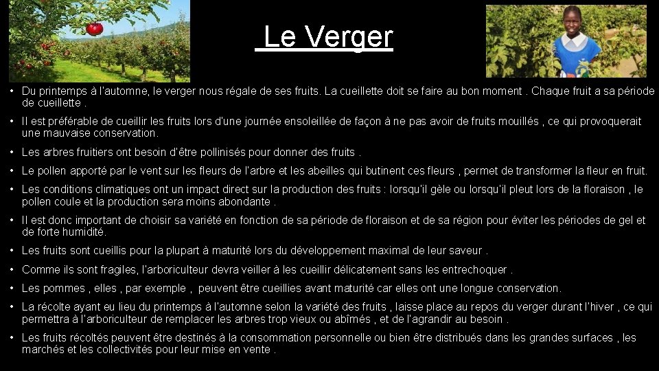 Le Verger • Du printemps à l’automne, le verger nous régale de ses fruits.