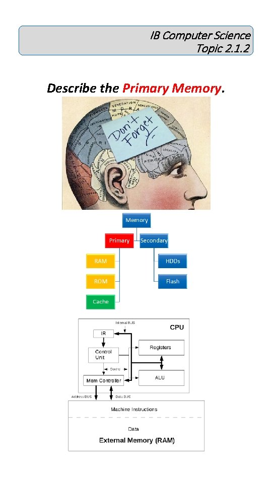 IB Computer Science Topic 2. 1. 2 Describe the Primary Memory. IB Computer Science Topic 2. 1. 2 Describe the Primary Memory.