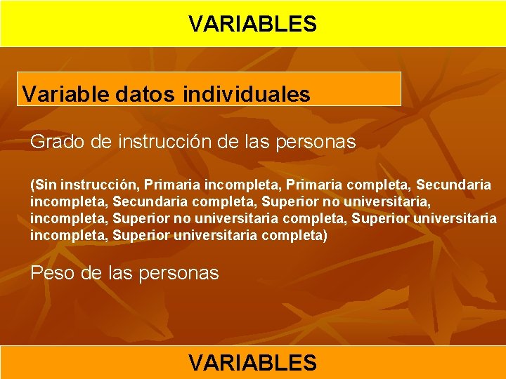 VARIABLES Variable datos individuales Grado de instrucción de las personas (Sin instrucción, Primaria incompleta,